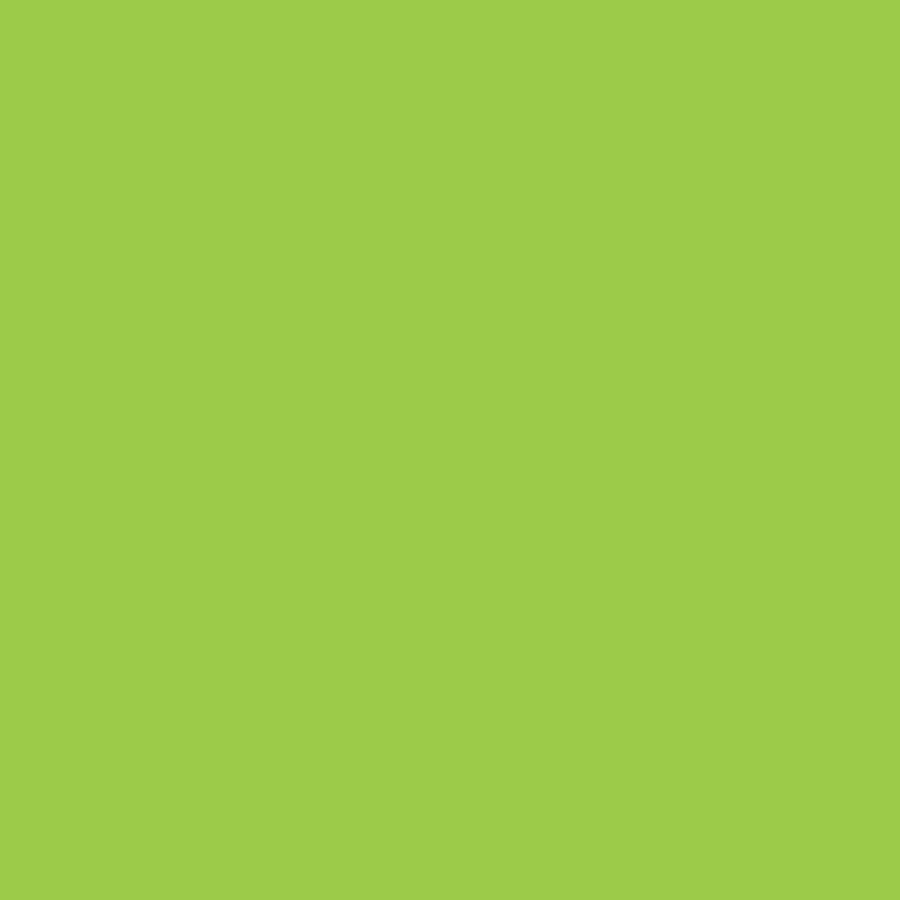 795 SERIES 14 INCH SOLID COLOR BANDANNAS - MADE IN THE USA - As low as $0.62 per piece*