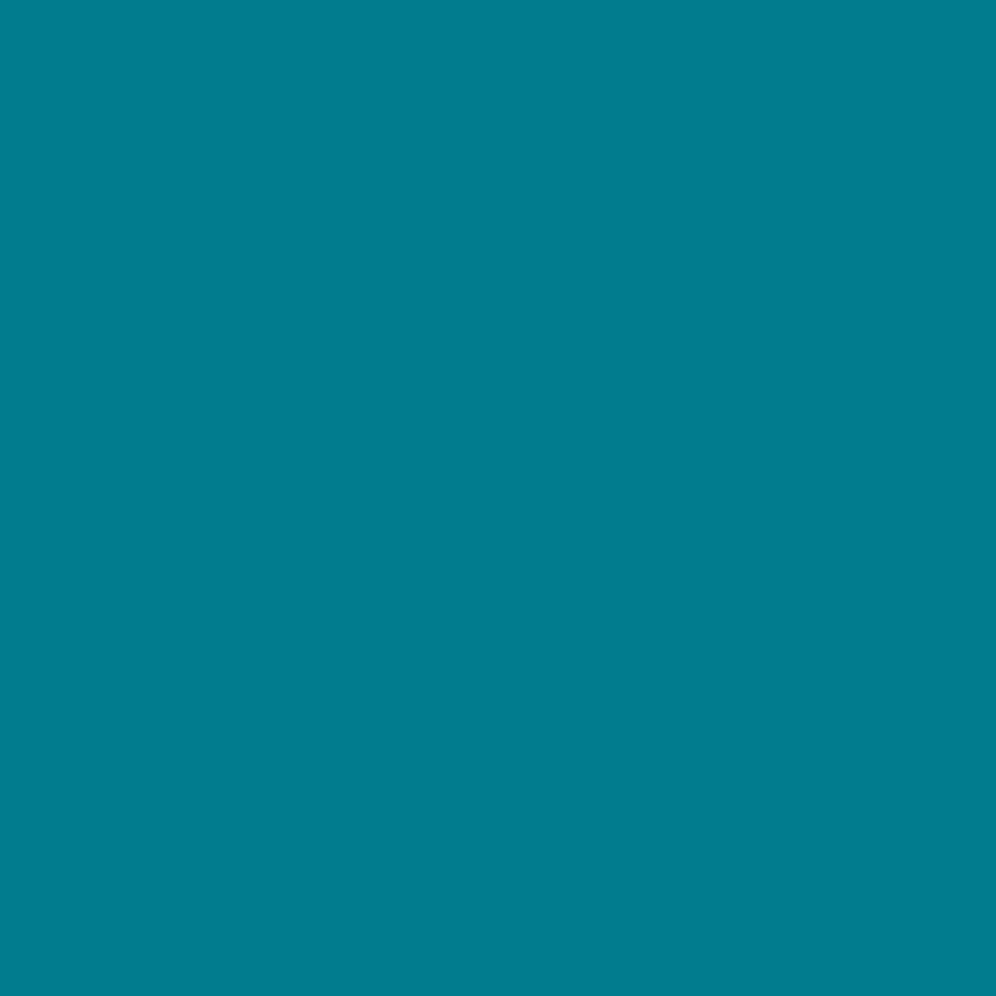 4800 SERIES 22 INCH SOLID COLOR BANDANNAS - MADE IN USA - AS LOW AS $1.20 EACH*