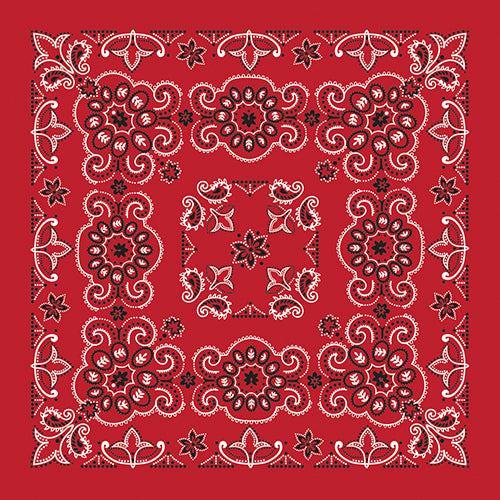 27 INCH TEXAS PAISLEY - IMPORTED - AS LOW AS $1.46 EACH*