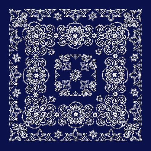 27 INCH TEXAS PAISLEY - IMPORTED - AS LOW AS $1.46 EACH*