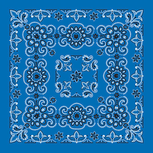 27 INCH TEXAS PAISLEY - IMPORTED - AS LOW AS $1.46 EACH*