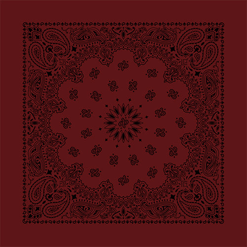 CONTEMPORARY PAISLEY 22 INCH BANDANNAS - MADE IN THE USA - AS LOW AS $1.17 EACH*
