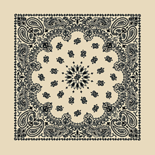 CONTEMPORARY PAISLEY 22 INCH BANDANNAS - MADE IN THE USA - AS LOW AS $1.17 EACH*