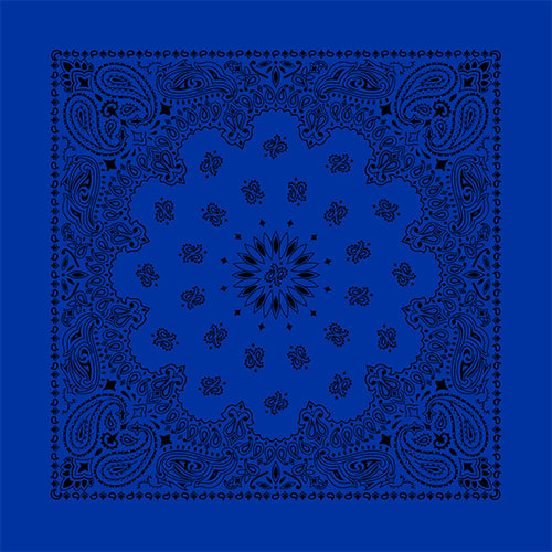CONTEMPORARY PAISLEY 22 INCH BANDANNAS - MADE IN THE USA - AS LOW AS $1.17 EACH*