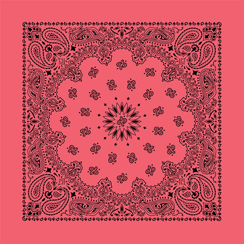 CONTEMPORARY PAISLEY 22 INCH BANDANNAS - MADE IN THE USA - AS LOW AS $1.17 EACH*