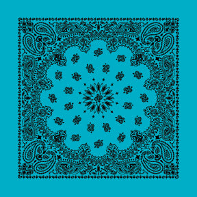 CONTEMPORARY PAISLEY 22 INCH BANDANNAS - MADE IN THE USA - AS LOW AS $1.17 EACH*