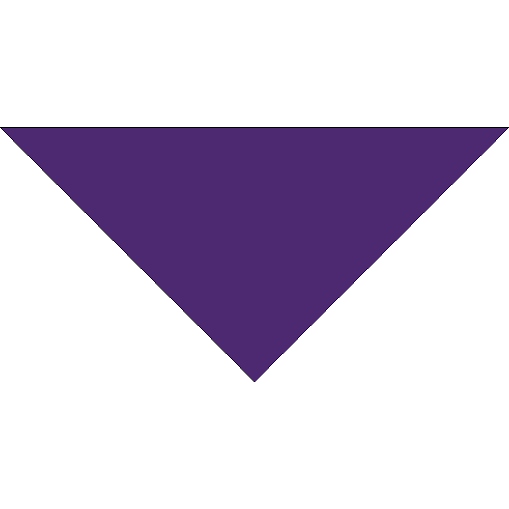 785T SERIES 14 INCH PET BANDANNA TRIANGLE - IMPORTED - AS LOW AS $0.50 EACH*