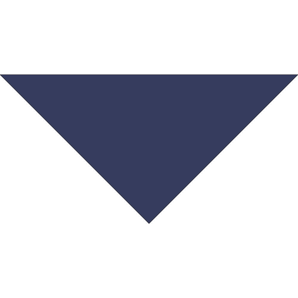 4800T SERIES 22 INCH PET BANDANNA TRIANGLE - MADE IN THE USA - AS LOW AS $1.18 EACH