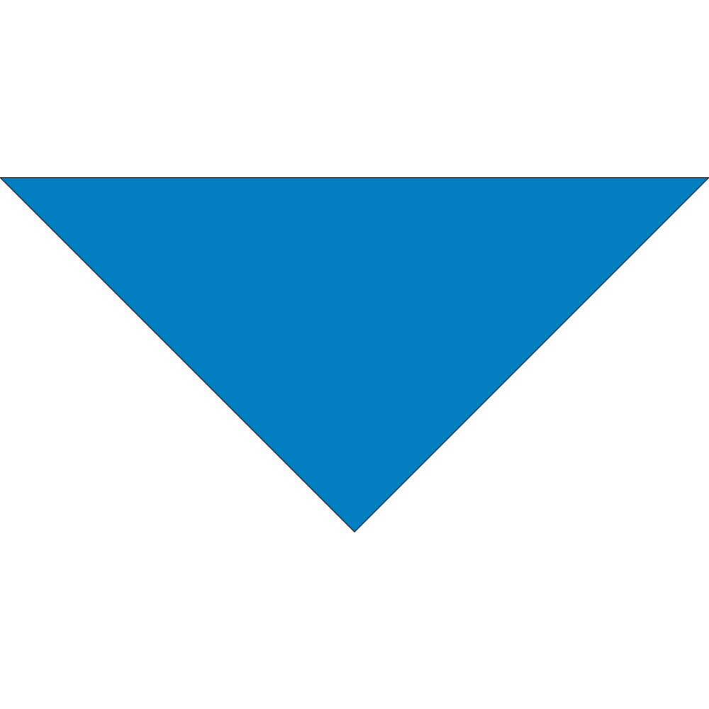 4800T SERIES 22 INCH PET BANDANNA TRIANGLE - MADE IN THE USA - AS LOW AS $1.18 EACH