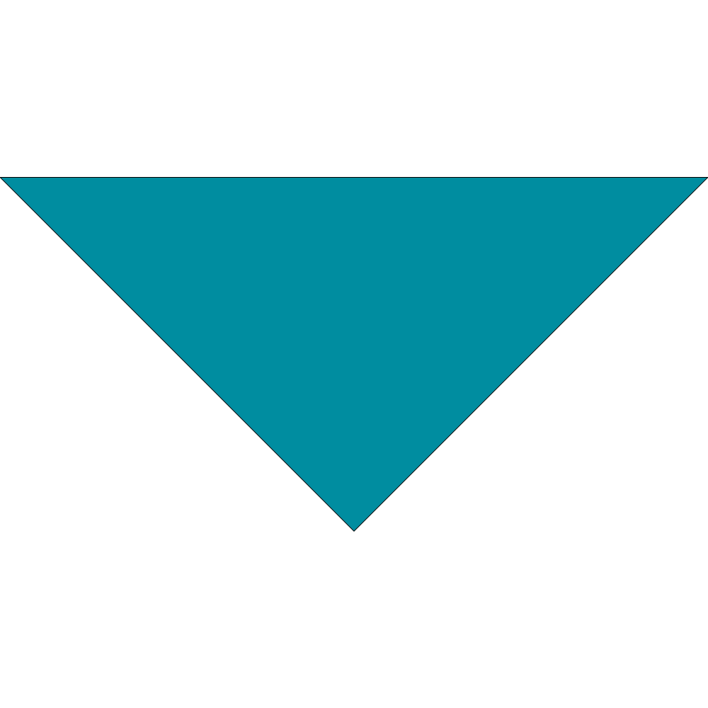 4800T SERIES 22 INCH PET BANDANNA TRIANGLE - MADE IN THE USA - AS LOW AS $1.18 EACH