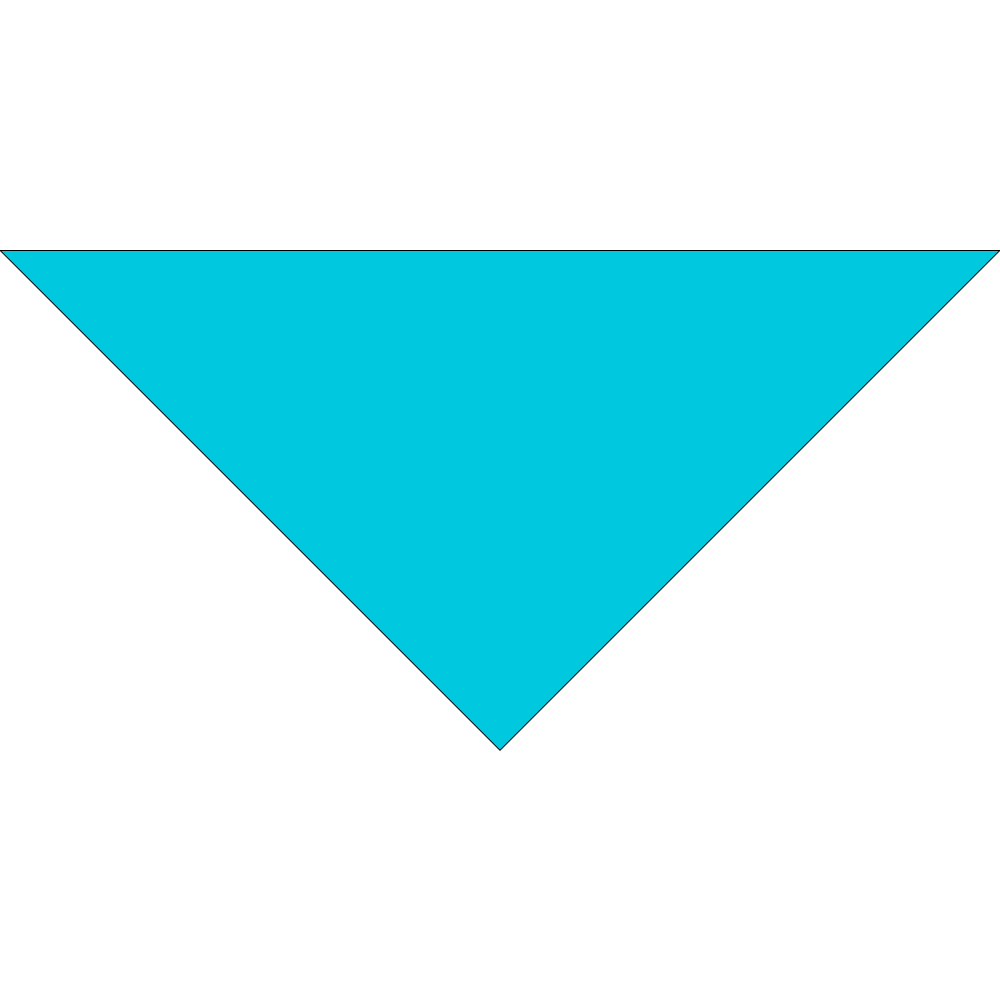 4800T SERIES 22 INCH PET BANDANNA TRIANGLE - MADE IN THE USA - AS LOW AS $1.18 EACH