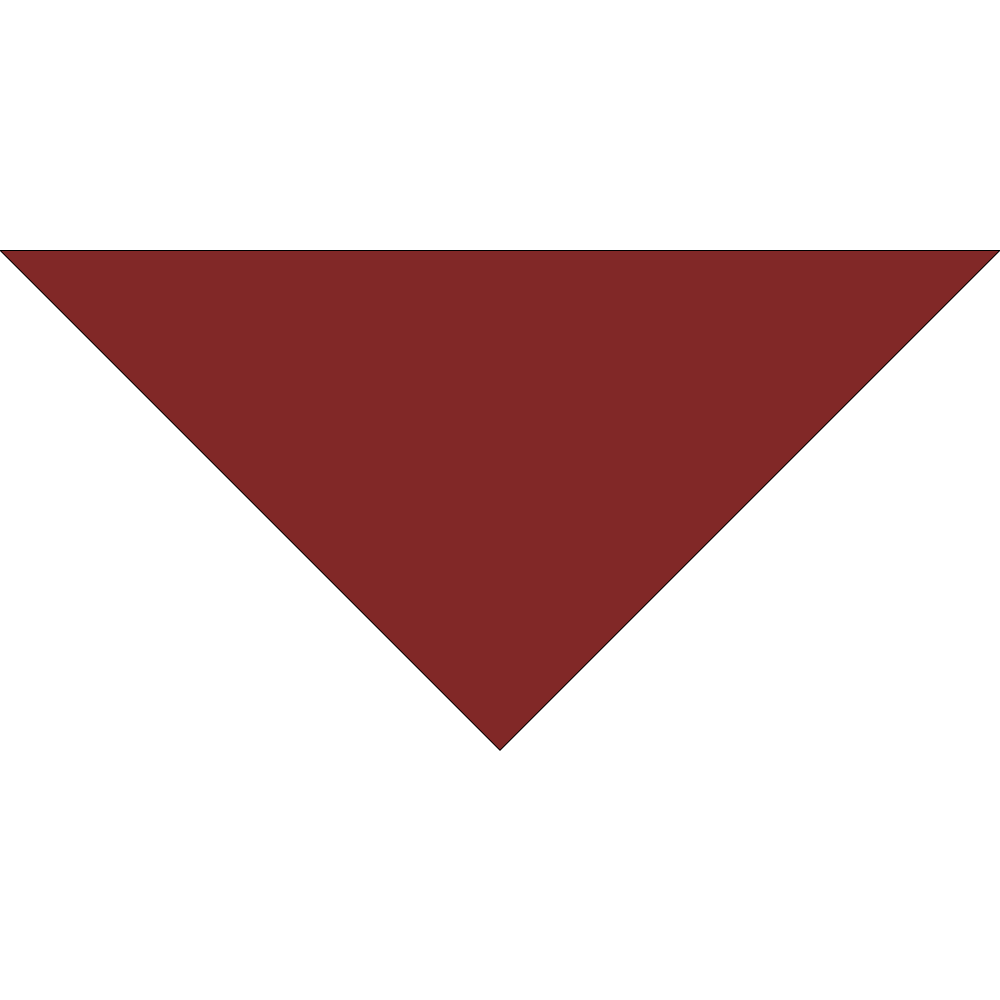4800T SERIES 22 INCH PET BANDANNA TRIANGLE - MADE IN THE USA - AS LOW AS $1.18 EACH