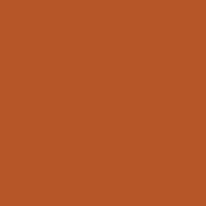 4800 SERIES 22 INCH SOLID COLOR BANDANNAS - MADE IN USA - AS LOW AS $1.20 EACH*