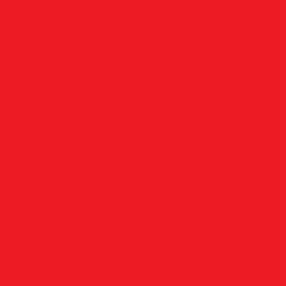 785 SERIES 14 INCH SOLID COLOR BANDANNAS - IMPORT - AS LOW AS $0.55 EACH*