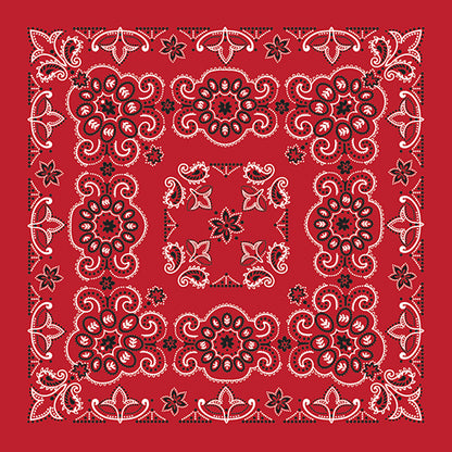 27 INCH TEXAS PAISLEY - IMPORTED - AS LOW AS $1.46 EACH*