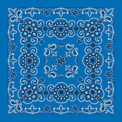 27 INCH TEXAS PAISLEY - IMPORTED - AS LOW AS $1.46 EACH*