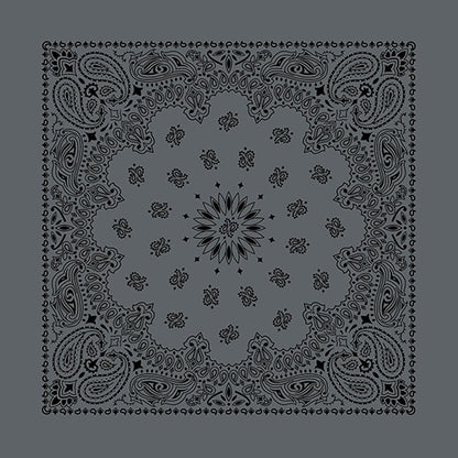 27 INCH AUSTIN PAISLEY BANDANNAS - IMPORTED - As low as $1.46 per piece*
