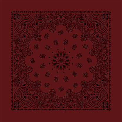 CONTEMPORARY PAISLEY 22 INCH BANDANNAS - MADE IN THE USA - AS LOW AS $1.17 EACH*