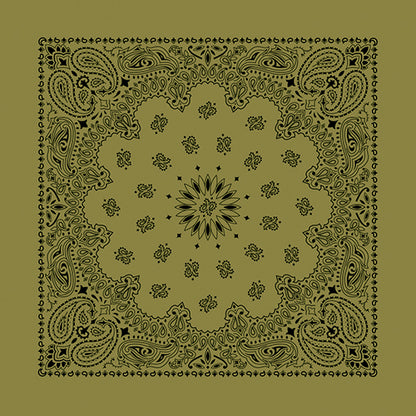 CONTEMPORARY PAISLEY 22 INCH BANDANNAS - MADE IN THE USA - AS LOW AS $1.17 EACH*