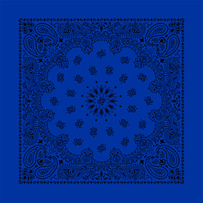 CONTEMPORARY PAISLEY 22 INCH BANDANNAS - MADE IN THE USA - AS LOW AS $1.17 EACH*