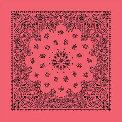 CONTEMPORARY PAISLEY 22 INCH BANDANNAS - MADE IN THE USA - AS LOW AS $1.17 EACH*