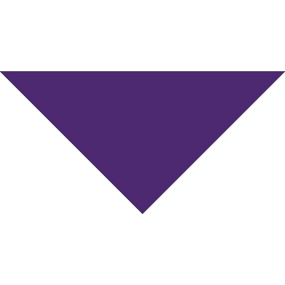 785T SERIES 14 INCH PET BANDANNA TRIANGLE - IMPORTED - AS LOW AS $0.50 EACH*