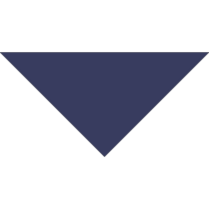 4800T SERIES 22 INCH PET BANDANNA TRIANGLE - MADE IN THE USA - AS LOW AS $1.18 EACH