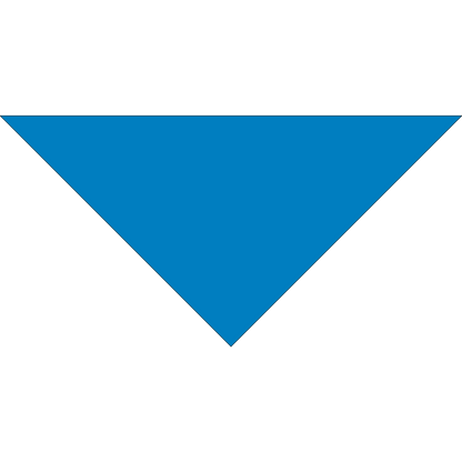 4800T SERIES 22 INCH PET BANDANNA TRIANGLE - MADE IN THE USA - AS LOW AS $1.18 EACH