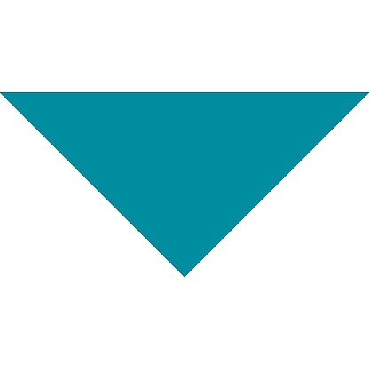 4800T SERIES 22 INCH PET BANDANNA TRIANGLE - MADE IN THE USA - AS LOW AS $1.18 EACH