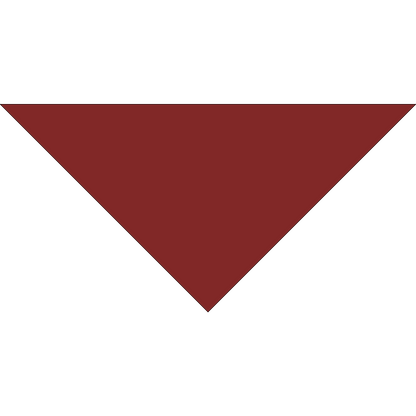 4800T SERIES 22 INCH PET BANDANNA TRIANGLE - MADE IN THE USA - AS LOW AS $1.18 EACH